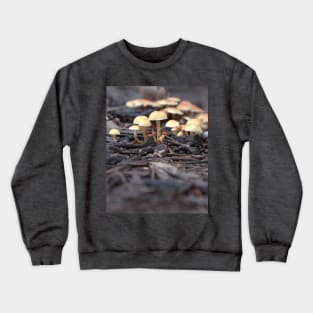 Mushroom Family Crewneck Sweatshirt